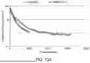 Fig. 19 - GEMINI SURFACTANT AS FOAMING AGENT FOR FOAM DRILLING