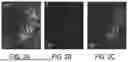 Fig. 08 - LIGHT EMITTING MATERIALS AND RELATED SYSTEMS AND METHODS