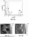 Fig. 09 - LIGHT EMITTING MATERIALS AND RELATED SYSTEMS AND METHODS