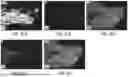 Fig. 11 - LIGHT EMITTING MATERIALS AND RELATED SYSTEMS AND METHODS