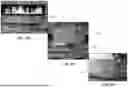 Fig. 12 - PRODUCTS COMPRISING CHAR AND CARBON, AND ASSOCIATED SYSTEMS, DEVICES, AND METHODS