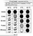 Fig. 23 - AMMONIA-HYDROCARBON FUEL COMPOSITIONS, METHOD OF USE, AND SYSTEMS THEREOF