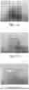Fig. 03 - CLEANING COMPOSITION AND METHOD FOR REMOVING POLYMER FILM BONDING MATERIALS USING THE SAME