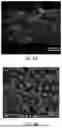 Fig. 12 - IN VITRO DEVICE FOR VASCULARIZED MICROFLUIDIC MODELING OF OSTEOCHONDRAL UNIT