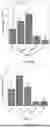 Fig. 21 - IN VITRO DEVICE FOR VASCULARIZED MICROFLUIDIC MODELING OF OSTEOCHONDRAL UNIT