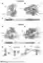 Fig. 06 - COMPOSITIONS AND METHODS RELATED TO MODIFIED CAS12A2 MOLECULES