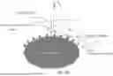 Fig. 53 - LINKED TARGET CAPTURE