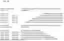 Fig. 13 - Type V CRISPR/CAS Effector Proteins for Cleaving ssDNAs and Detecting Target DNAs