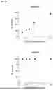 Fig. 19 - Type V CRISPR/CAS Effector Proteins for Cleaving ssDNAs and Detecting Target DNAs