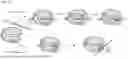 Fig. 22 - Type V CRISPR/CAS Effector Proteins for Cleaving ssDNAs and Detecting Target DNAs