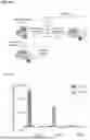 Fig. 50 - Type V CRISPR/CAS Effector Proteins for Cleaving ssDNAs and Detecting Target DNAs