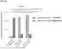 Fig. 56 - Type V CRISPR/CAS Effector Proteins for Cleaving ssDNAs and Detecting Target DNAs