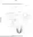 Fig. 10 - METHODS RELATING TO RESPIRATORY HEALTH THERAPEUTICS