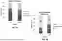 Fig. 03 - METHODS AND SYSTEMS FOR MOLECULAR SUBTYPING OF CANCER METASTASES
