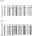 Fig. 05 - METHYLATION-SPECIFIC PRIMERS FOR DIAGNOSING TUMORS