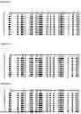 Fig. 08 - METHYLATION-SPECIFIC PRIMERS FOR DIAGNOSING TUMORS