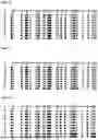 Fig. 10 - METHYLATION-SPECIFIC PRIMERS FOR DIAGNOSING TUMORS