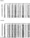 Fig. 13 - METHYLATION-SPECIFIC PRIMERS FOR DIAGNOSING TUMORS