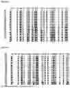 Fig. 14 - METHYLATION-SPECIFIC PRIMERS FOR DIAGNOSING TUMORS
