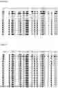 Fig. 18 - METHYLATION-SPECIFIC PRIMERS FOR DIAGNOSING TUMORS