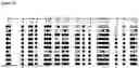 Fig. 21 - METHYLATION-SPECIFIC PRIMERS FOR DIAGNOSING TUMORS