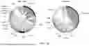 Fig. 03 - METHODS FOR DETECTING ACUTE MYELOID LEUKEMIA