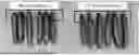 Fig. 01 - CUCUMBER PLANTS WITH IMPROVED PEST RESISTANCE