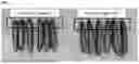 Fig. 02 - CUCUMBER PLANTS WITH IMPROVED PEST RESISTANCE