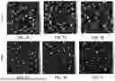 Fig. 08 - INHIBITORS FOR SELECTIVE EPITAXIAL DEPOSITION