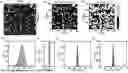 Fig. 01 - A DIAMOND MICROPARTICLES BASED PHYSICAL UNCLONABLE FUNCTIONAL MATERIAL, PREPARATION METHOD, AND USE THEREOF