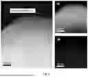 Fig. 05 - A DIAMOND MICROPARTICLES BASED PHYSICAL UNCLONABLE FUNCTIONAL MATERIAL, PREPARATION METHOD, AND USE THEREOF