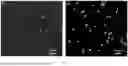 Fig. 06 - A DIAMOND MICROPARTICLES BASED PHYSICAL UNCLONABLE FUNCTIONAL MATERIAL, PREPARATION METHOD, AND USE THEREOF