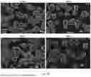 Fig. 11 - A DIAMOND MICROPARTICLES BASED PHYSICAL UNCLONABLE FUNCTIONAL MATERIAL, PREPARATION METHOD, AND USE THEREOF