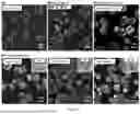 Fig. 12 - A DIAMOND MICROPARTICLES BASED PHYSICAL UNCLONABLE FUNCTIONAL MATERIAL, PREPARATION METHOD, AND USE THEREOF