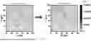 Fig. 13 - A DIAMOND MICROPARTICLES BASED PHYSICAL UNCLONABLE FUNCTIONAL MATERIAL, PREPARATION METHOD, AND USE THEREOF