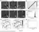 Fig. 19 - A DIAMOND MICROPARTICLES BASED PHYSICAL UNCLONABLE FUNCTIONAL MATERIAL, PREPARATION METHOD, AND USE THEREOF