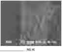 Fig. 11 - Electrospinning Apparatus and Uses Thereof