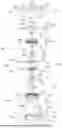 Fig. 01 - DRUM ROTATING DEVICE AND LAUNDRY CARE APPARATUS INCLUDING SAME