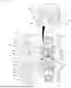 Fig. 14 - DRUM ROTATING DEVICE AND LAUNDRY CARE APPARATUS INCLUDING SAME