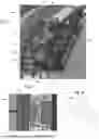 Fig. 05 - LAUNDRY MACHINE DOOR ASSEMBLY