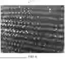 Fig. 06 - PERMEABLE BACKING AND TUFTED ARTICLES COMPRISING SAID BACKING