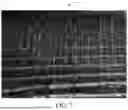 Fig. 07 - PERMEABLE BACKING AND TUFTED ARTICLES COMPRISING SAID BACKING