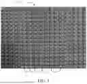 Fig. 09 - PERMEABLE BACKING AND TUFTED ARTICLES COMPRISING SAID BACKING
