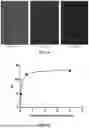 Fig. 09 - Method and Integrated System for Non-aqueous Solvent Medium (NASM) Dyeing of Multiple Forms of Synthetic, Natural and Blended Textiles