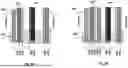 Fig. 09 - METHOD OF MAKING A TRANSPARENT LIGHTWEIGHT COATED HYBRID COMPOSITE