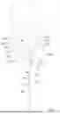 Fig. 04 - ASSEMBLED CURTAIN