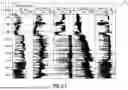 Fig. 04 - SYSTEMS AND METHODS FOR DETERMINIG DEPTH-DEPENDENT DRILLING PARAEMTER LIMITS