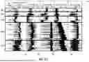 Fig. 06 - SYSTEMS AND METHODS FOR DETERMINIG DEPTH-DEPENDENT DRILLING PARAEMTER LIMITS