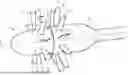 Fig. 01 - UNDUCTED THRUST-GENERATING ASSEMBLY COMPRISING AN OUTER GUIDE VANE