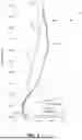 Fig. 03 - Controlled Area Progression Vaned Diffuser